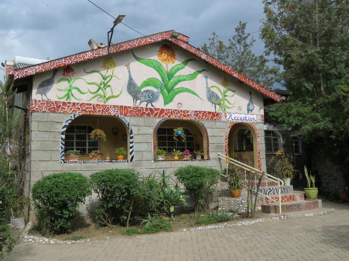 Aloepark Art Hotel نيفاشا المظهر الخارجي الصورة